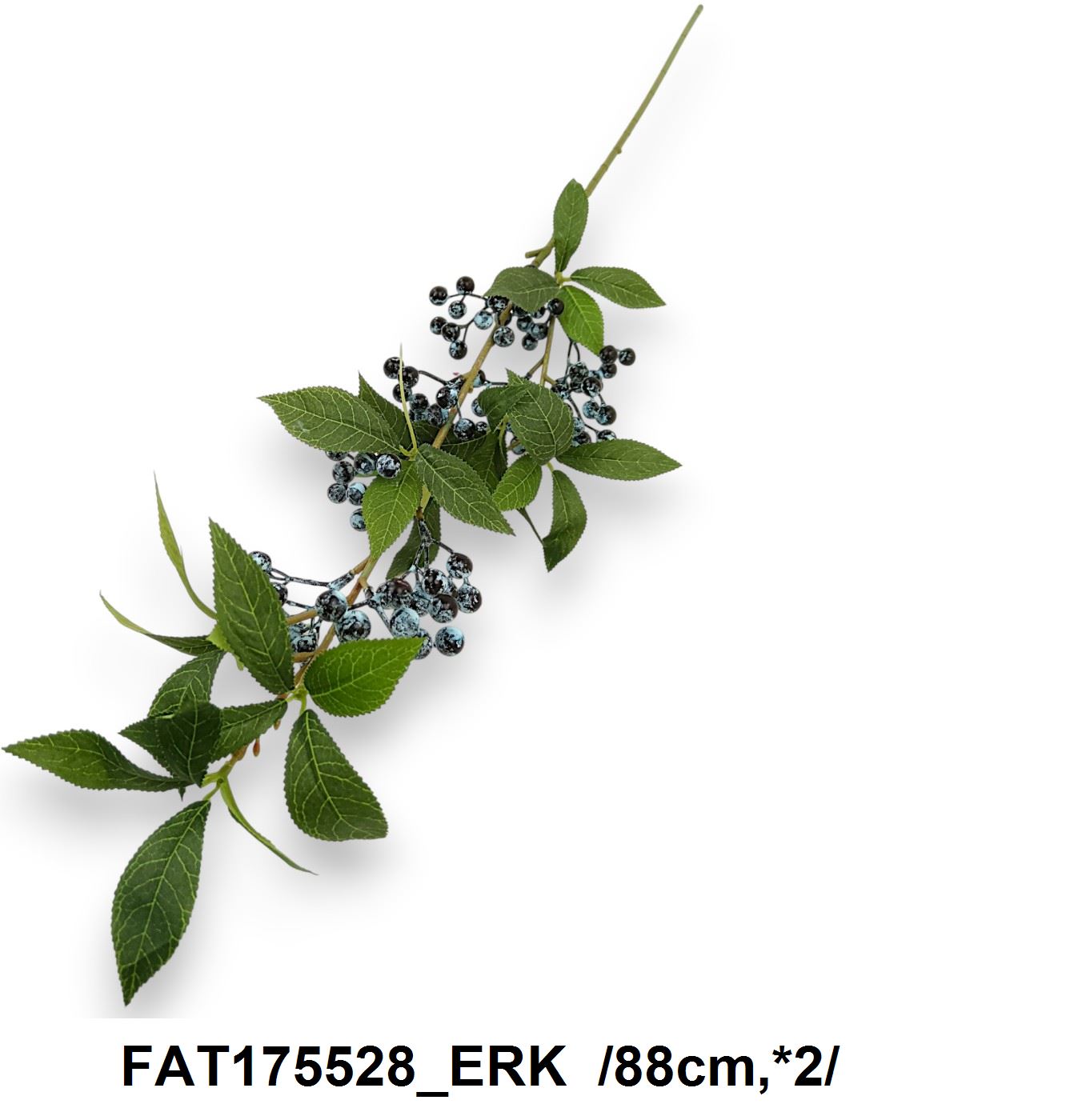 FAT175528_ERK