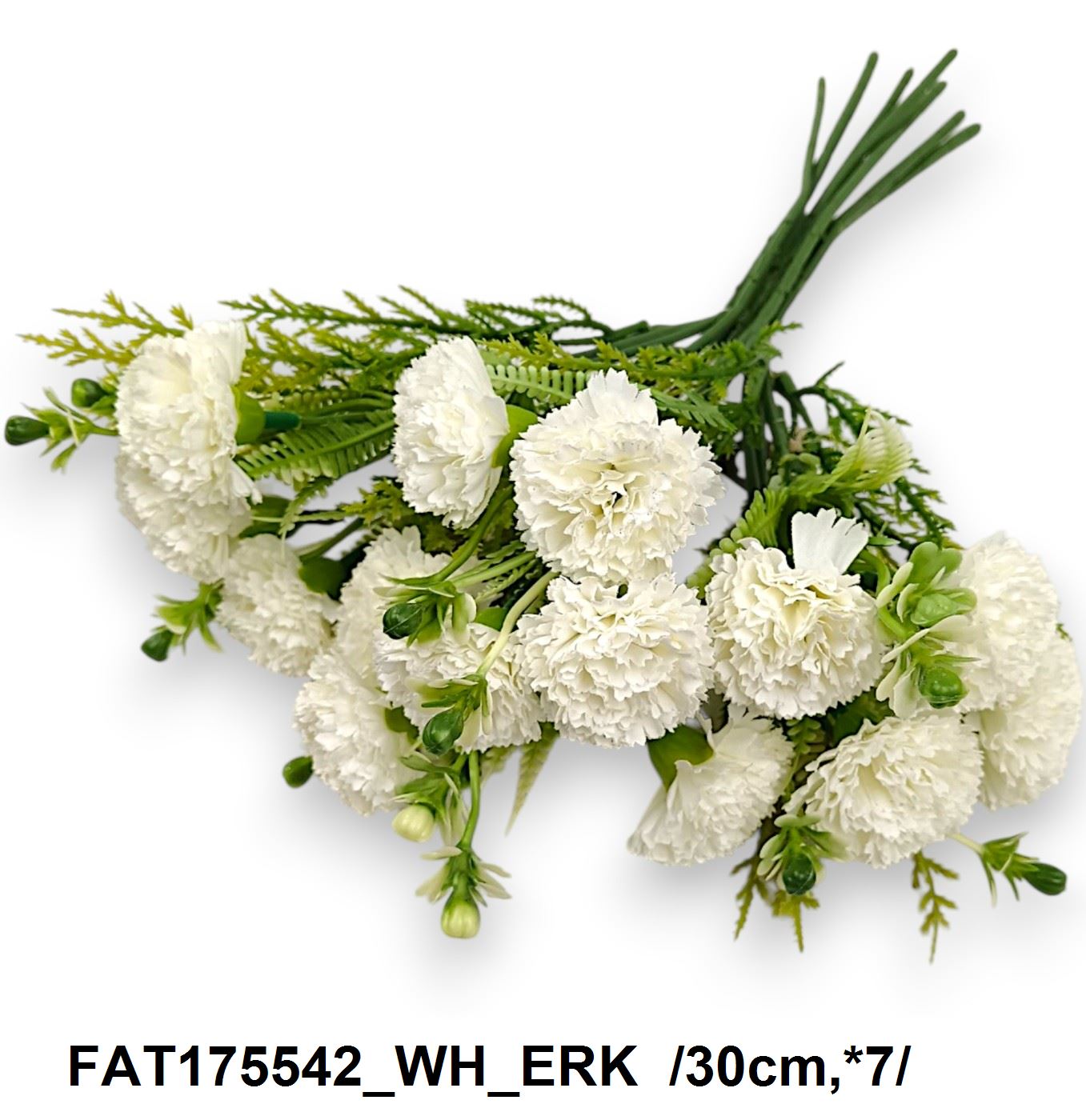 FAT175542_WH_ERK