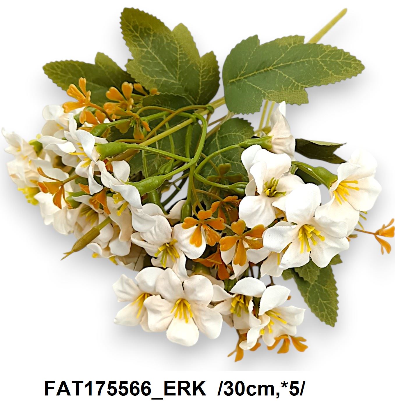 FAT175566_ERK