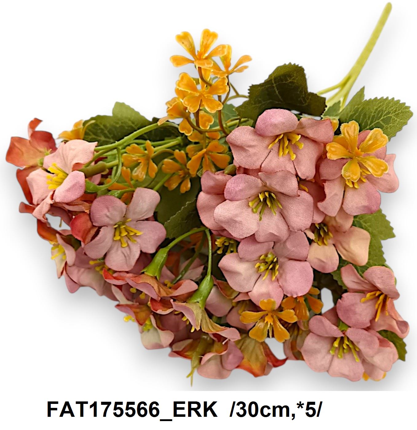 FAT175566_ERK