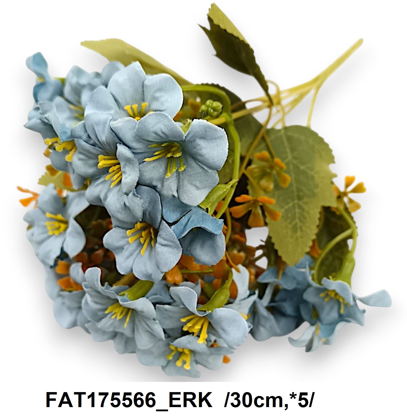 FAT175566_ERK