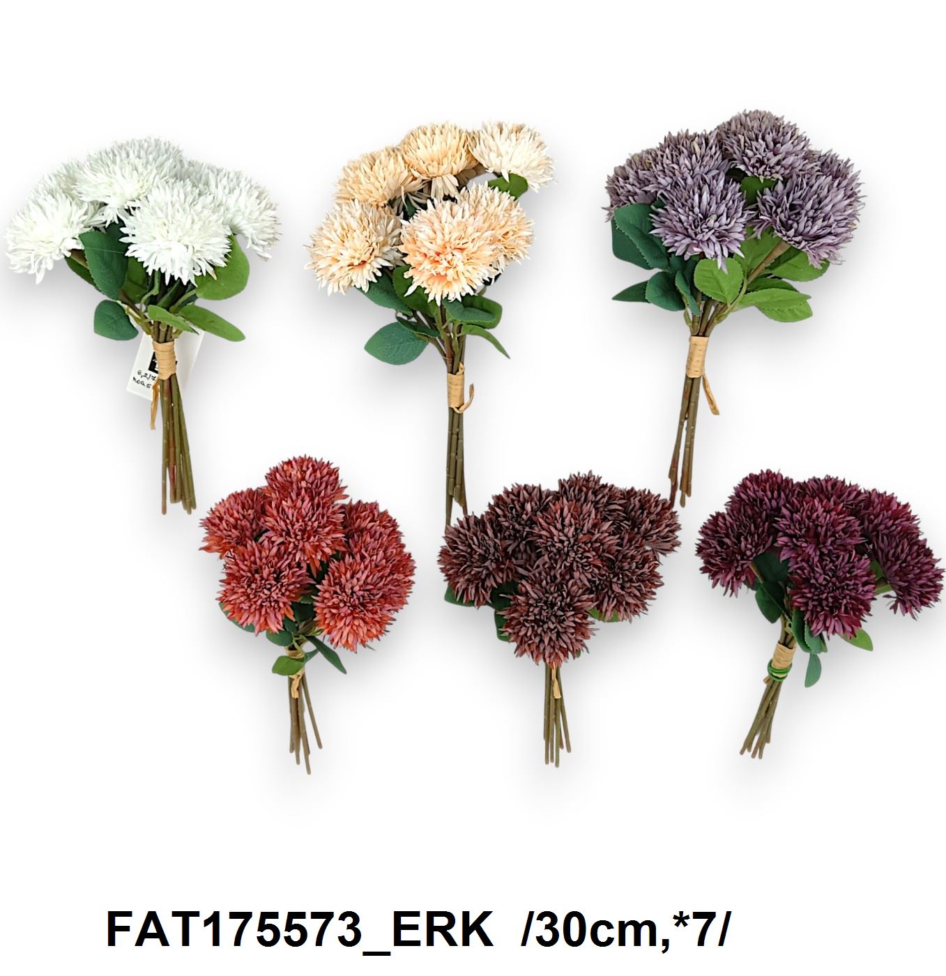 FAT175573_ERK