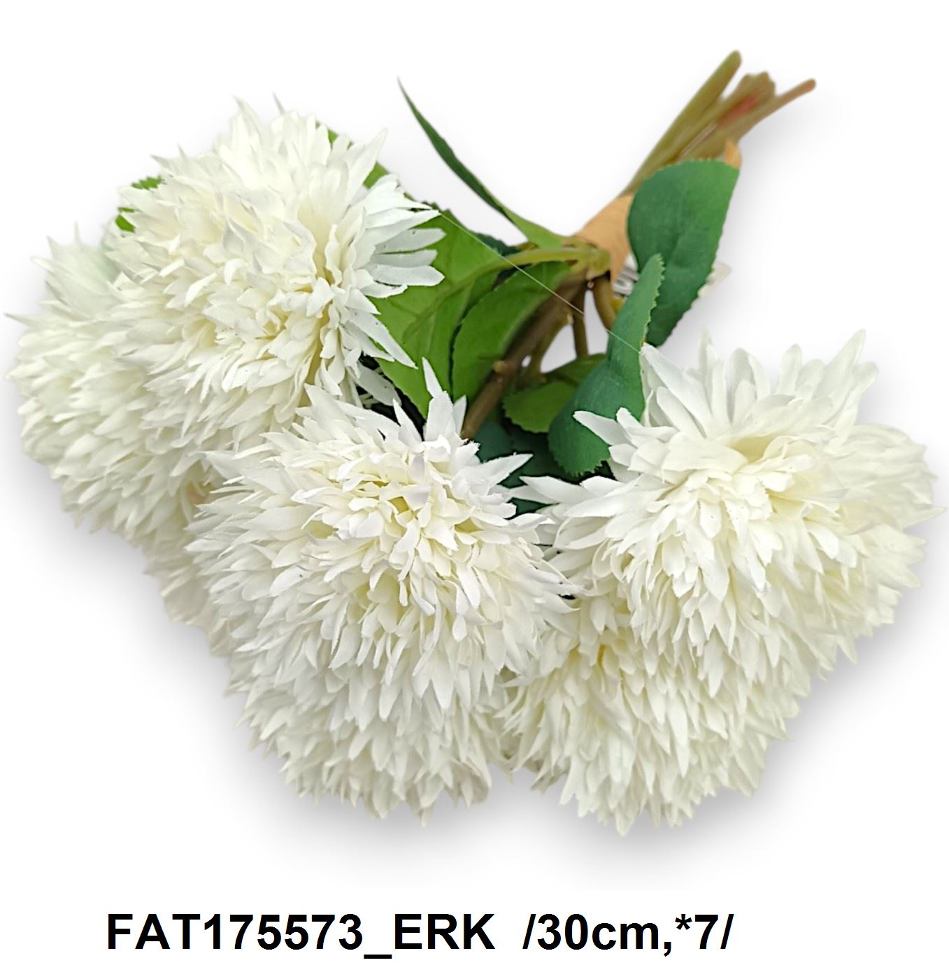 FAT175573_ERK