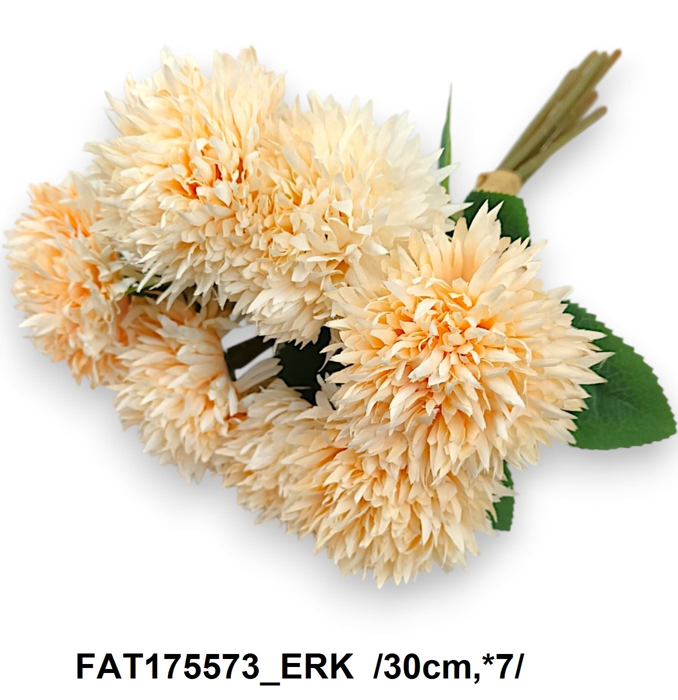 FAT175573_ERK