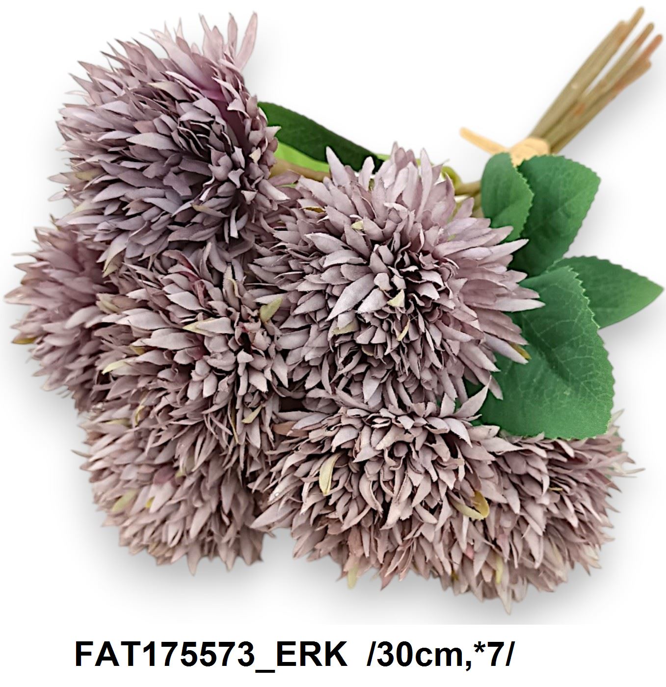 FAT175573_ERK