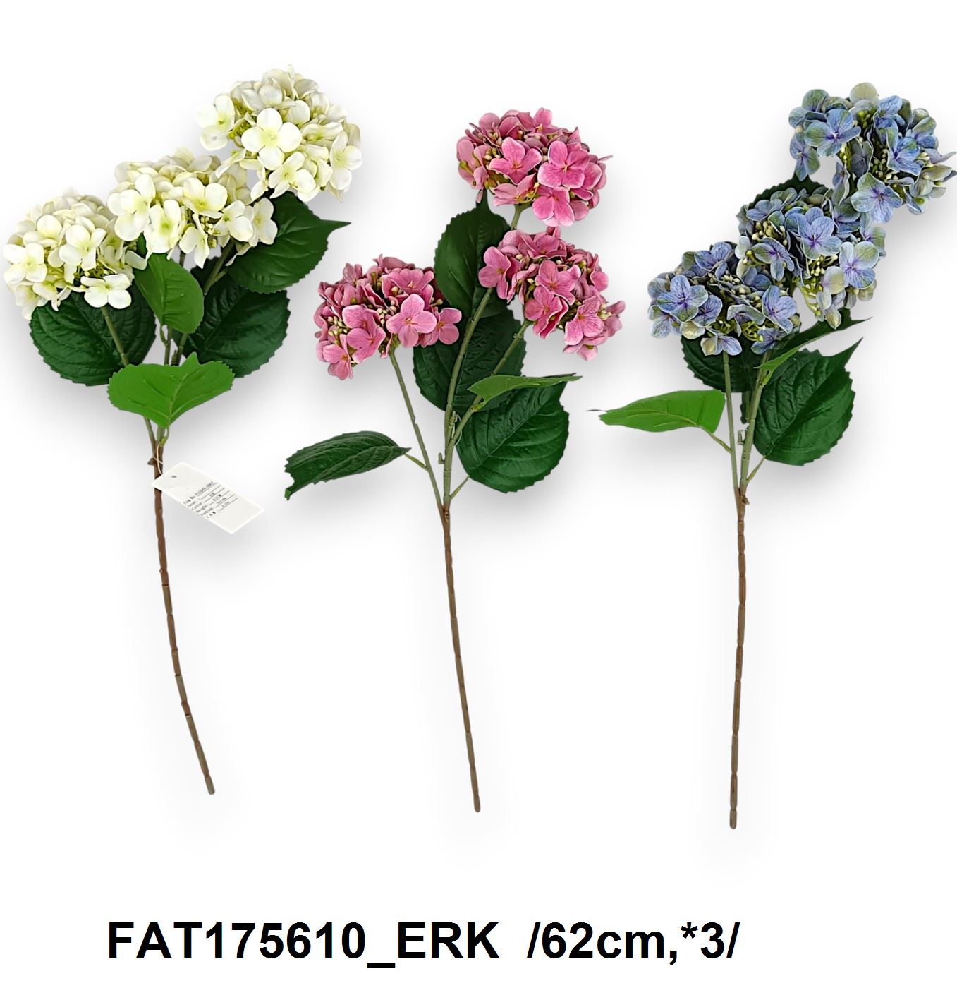 FAT175610_ERK