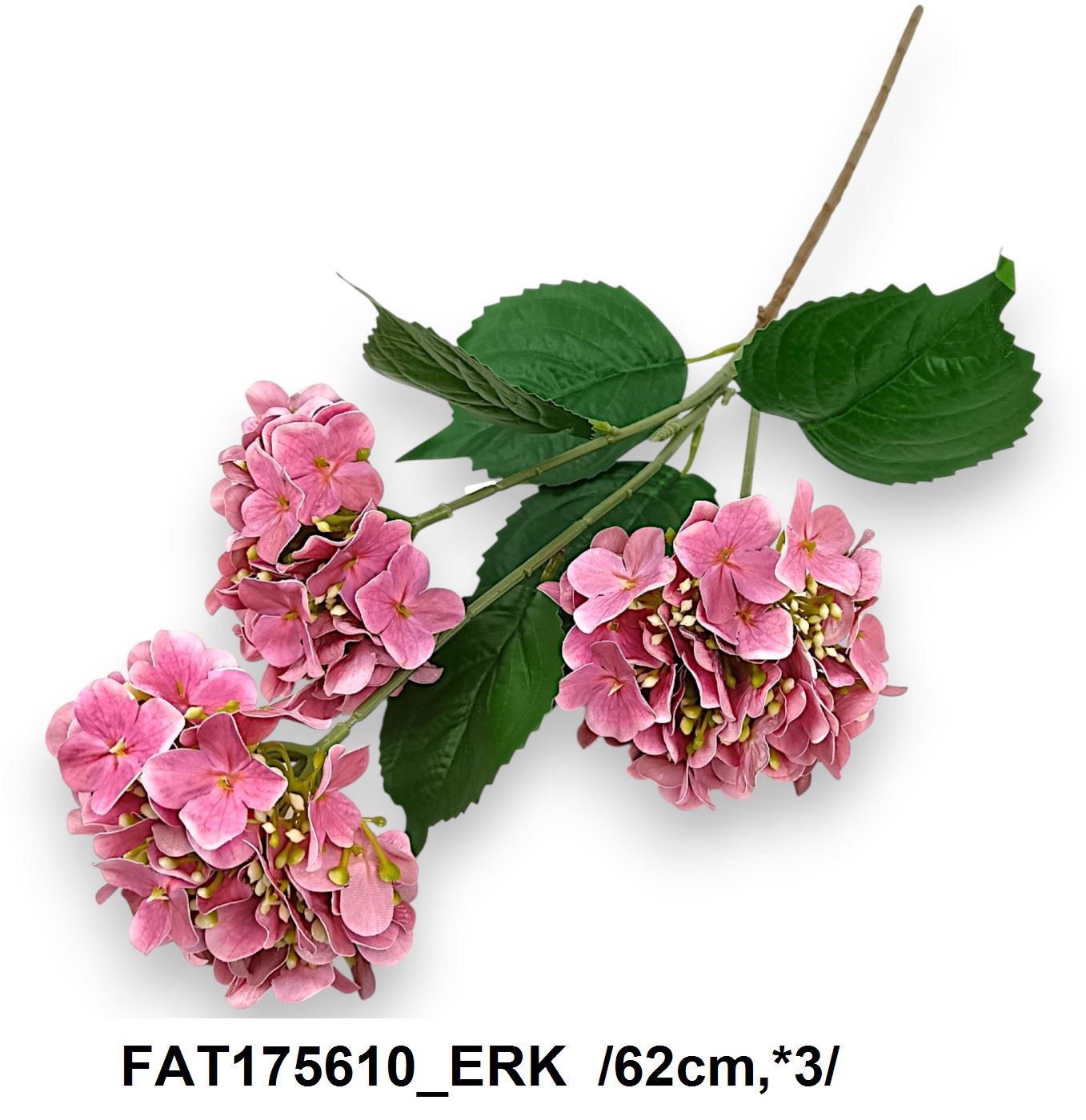 FAT175610_ERK