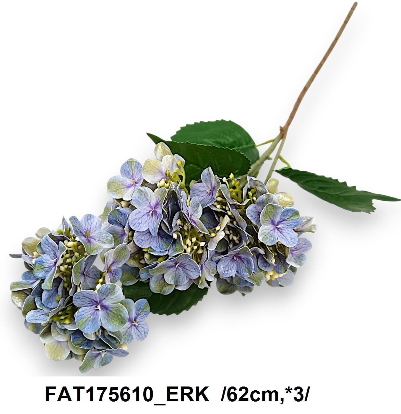 FAT175610_ERK