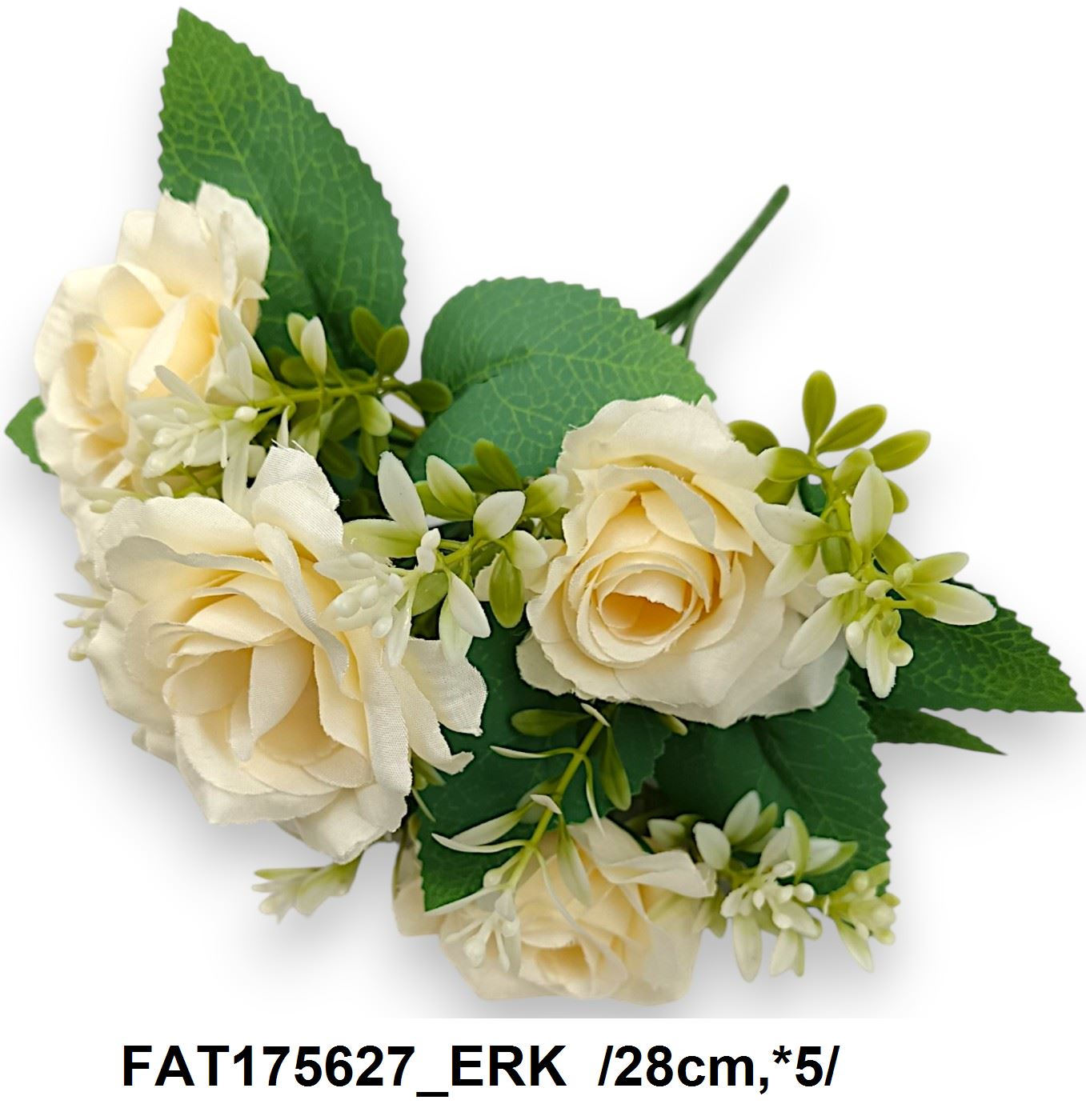 FAT175627_ERK