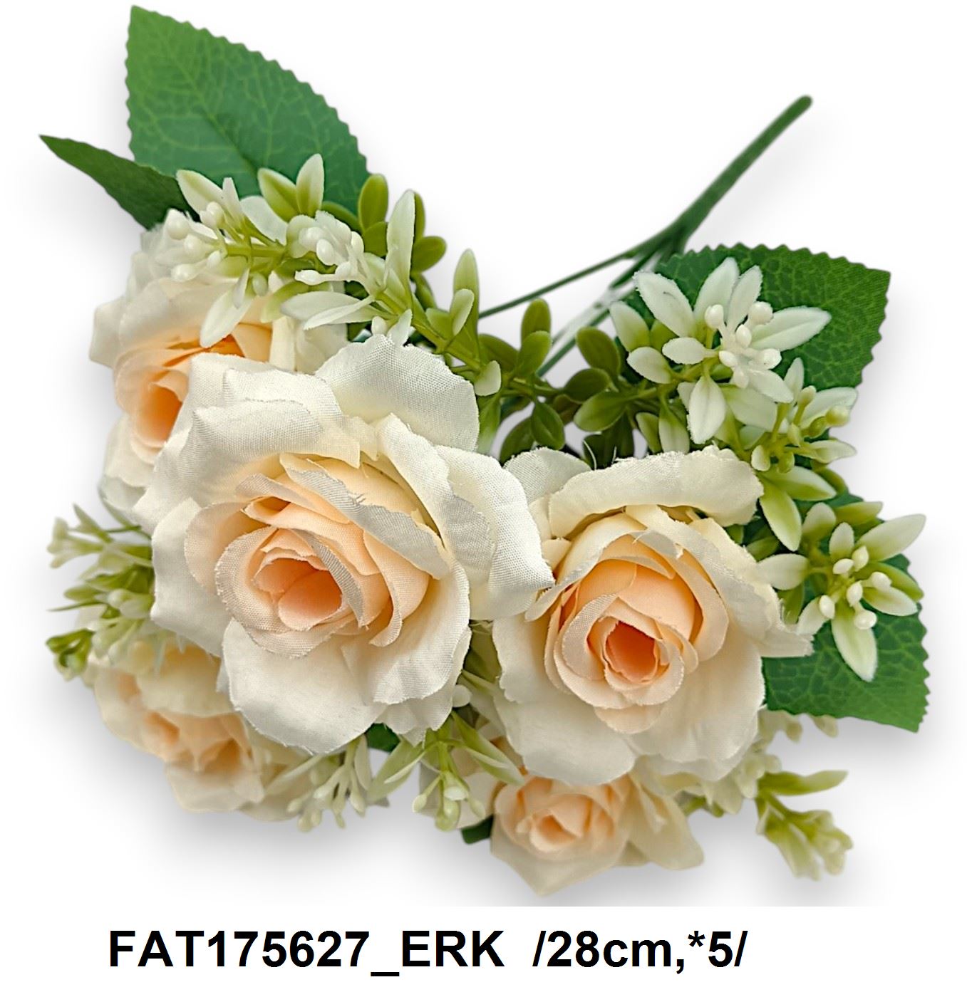 FAT175627_ERK