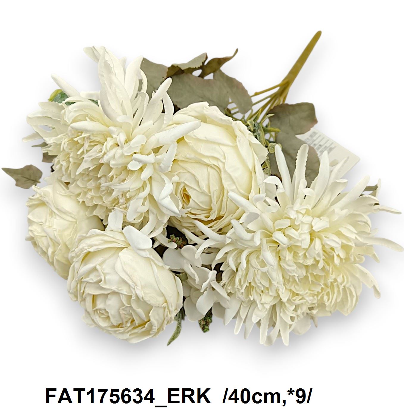 FAT175634_ERK