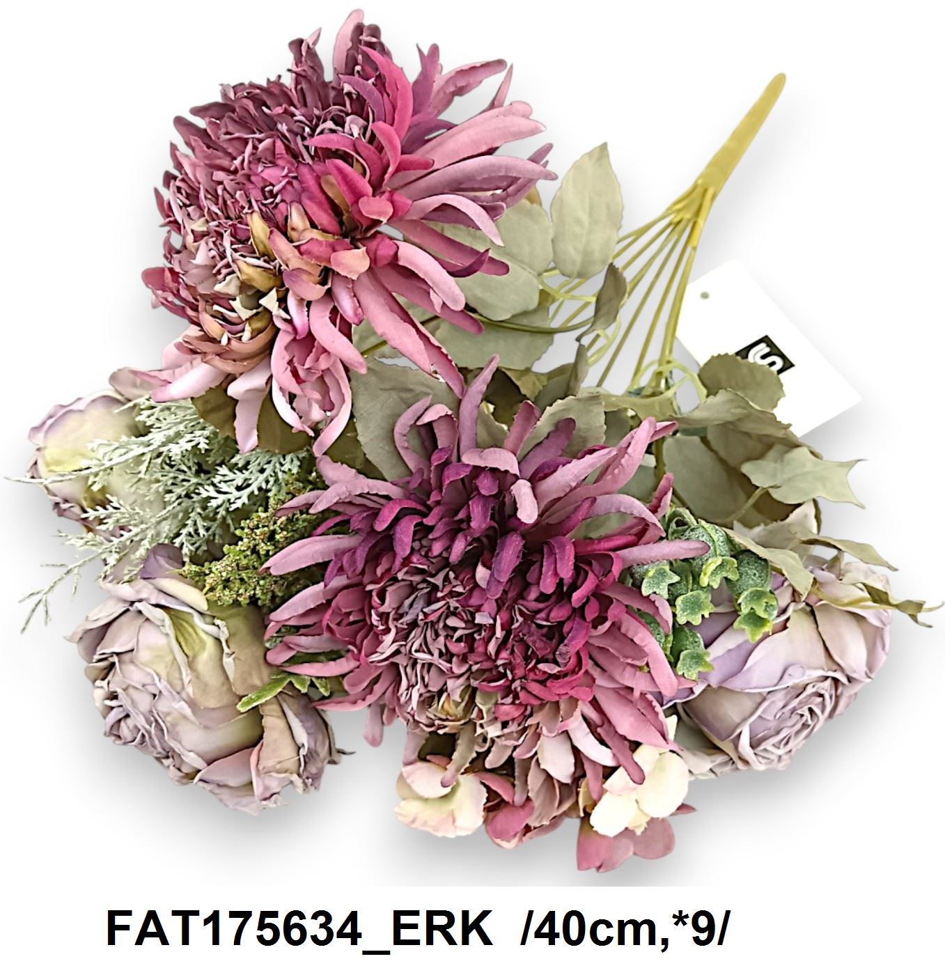 FAT175634_ERK