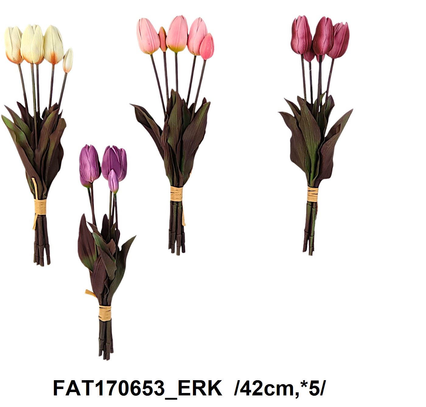 FAT170653_ERK