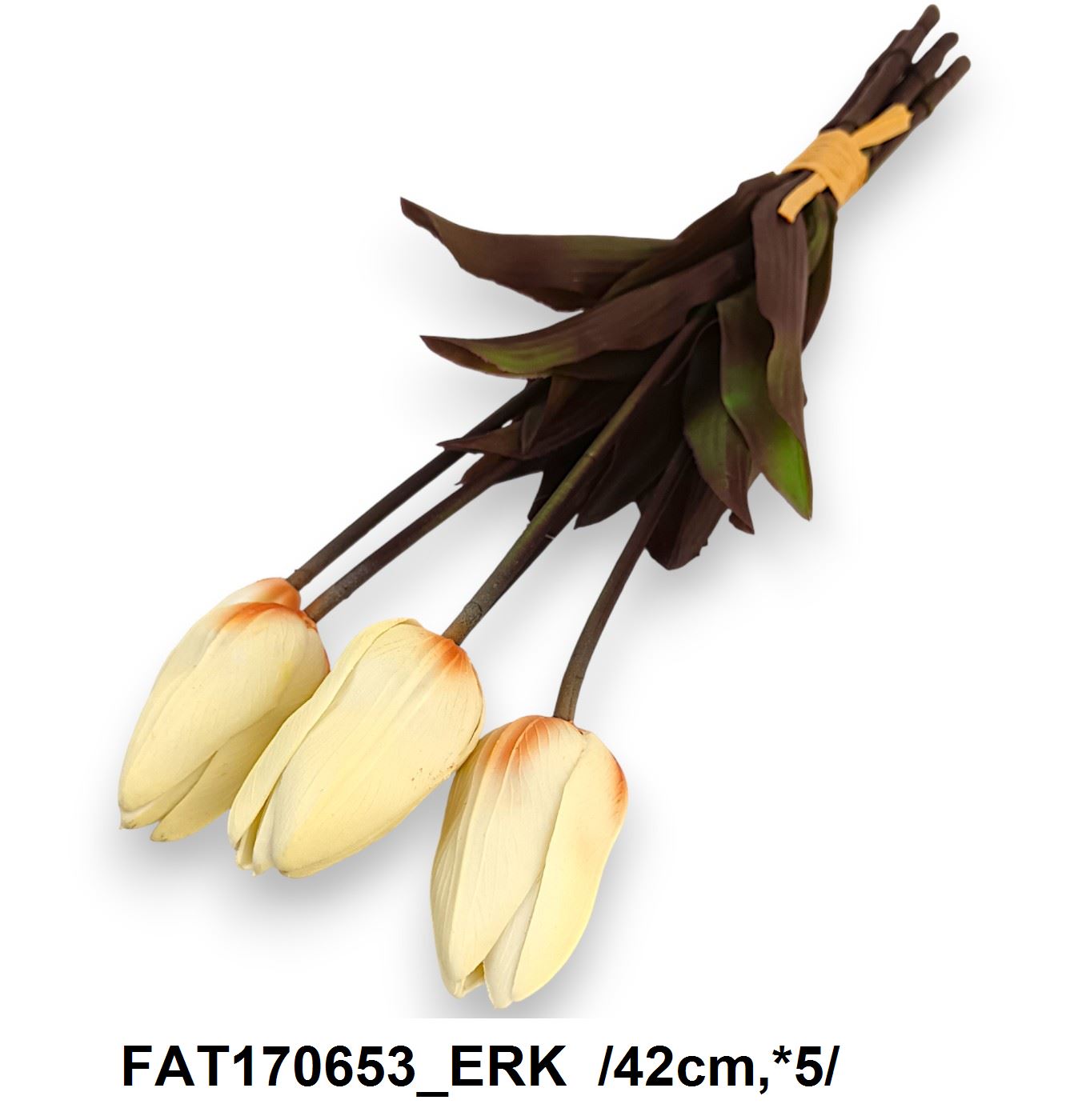 FAT170653_ERK
