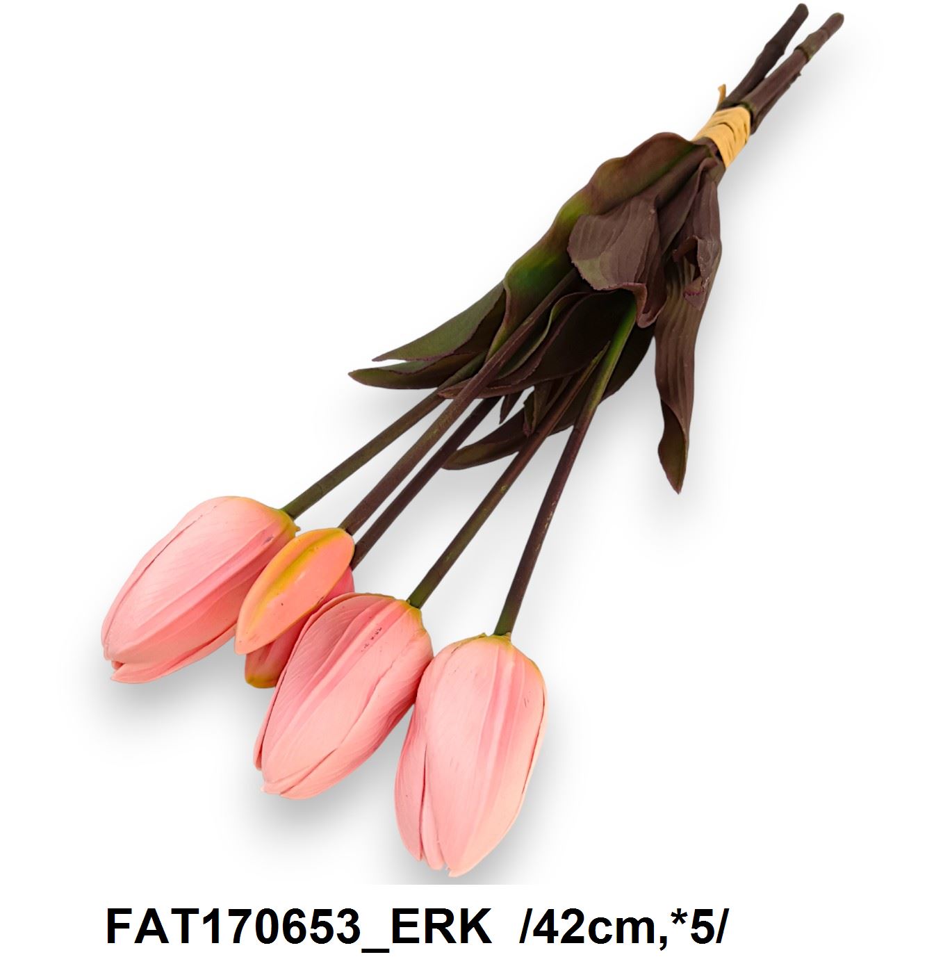 FAT170653_ERK