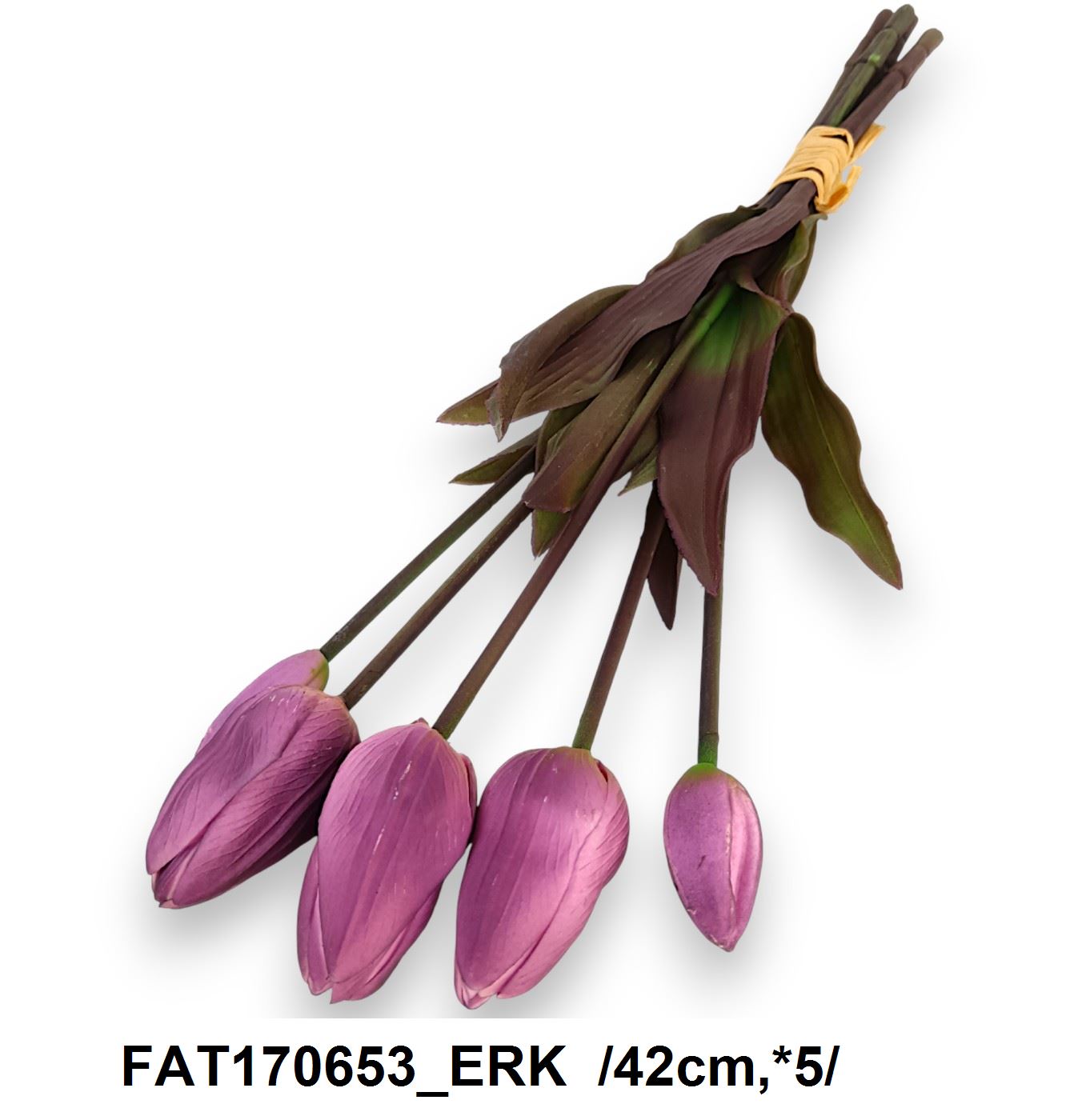 FAT170653_ERK