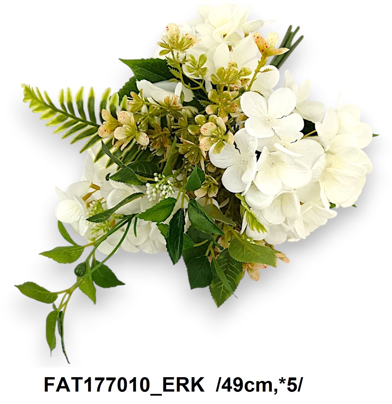 FAT177010_ERK