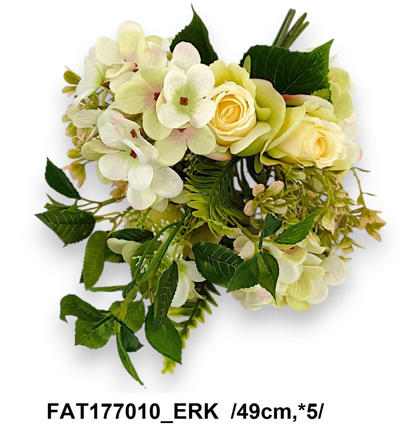 FAT177010_ERK