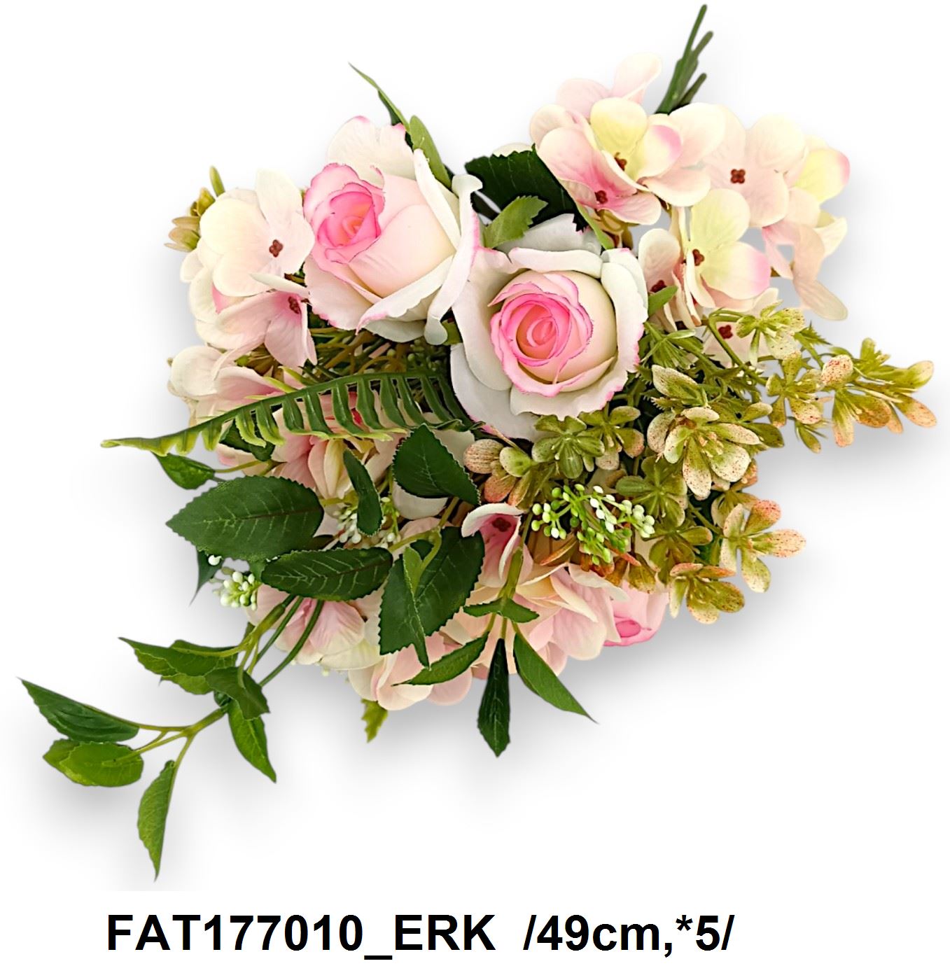 FAT177010_ERK