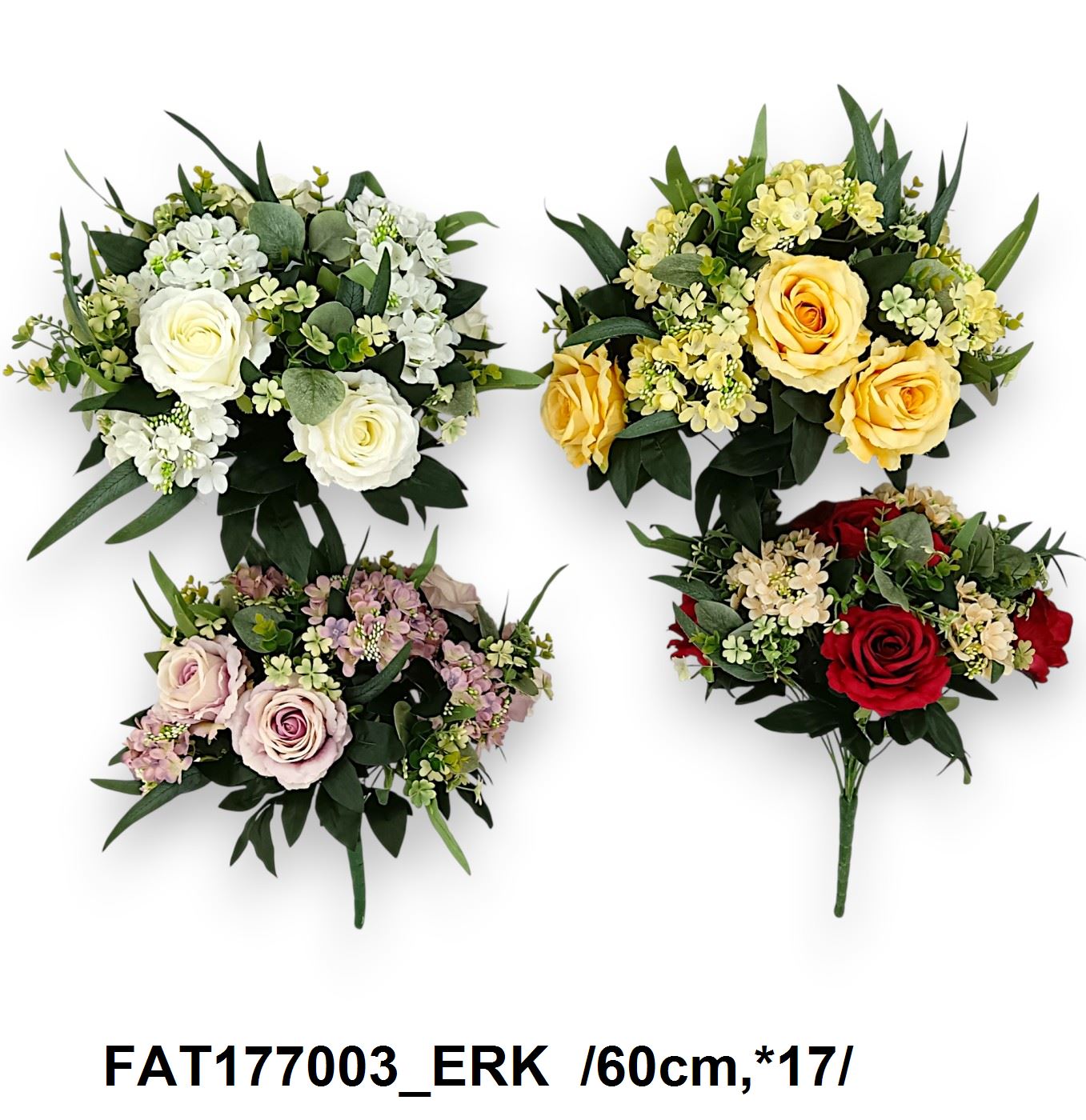 FAT177003_ERK