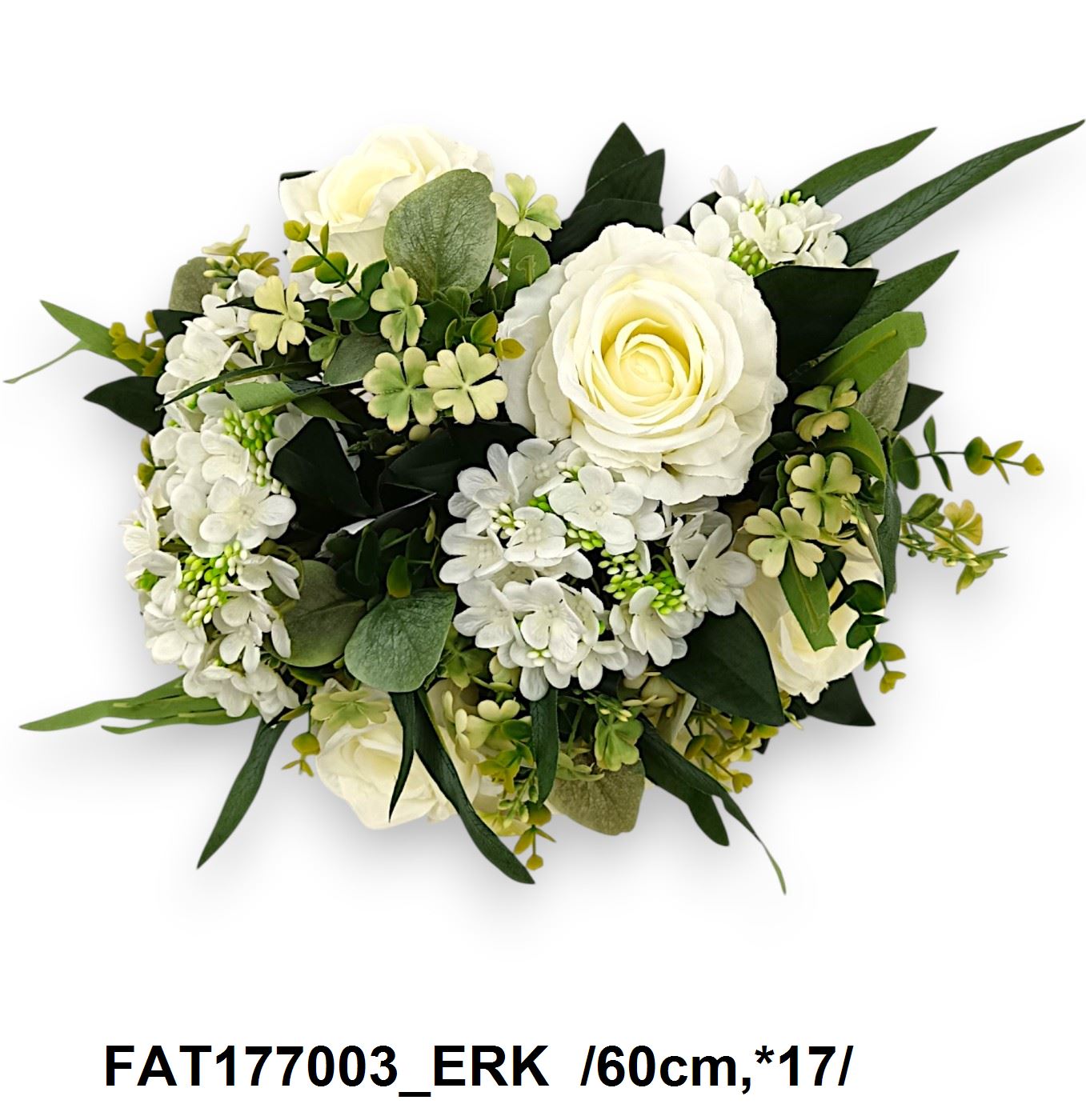 FAT177003_ERK