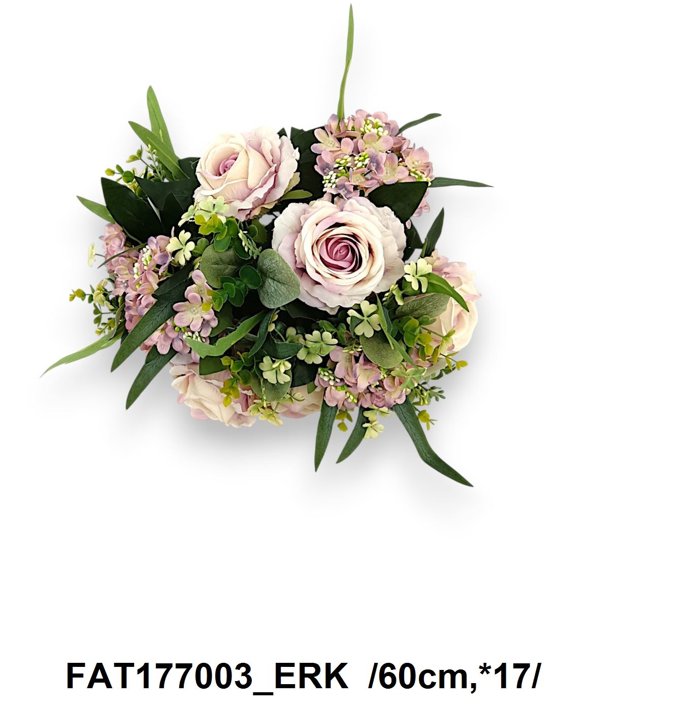 FAT177003_ERK