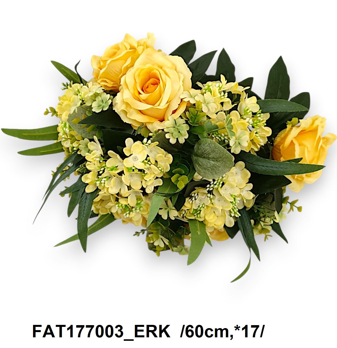 FAT177003_ERK