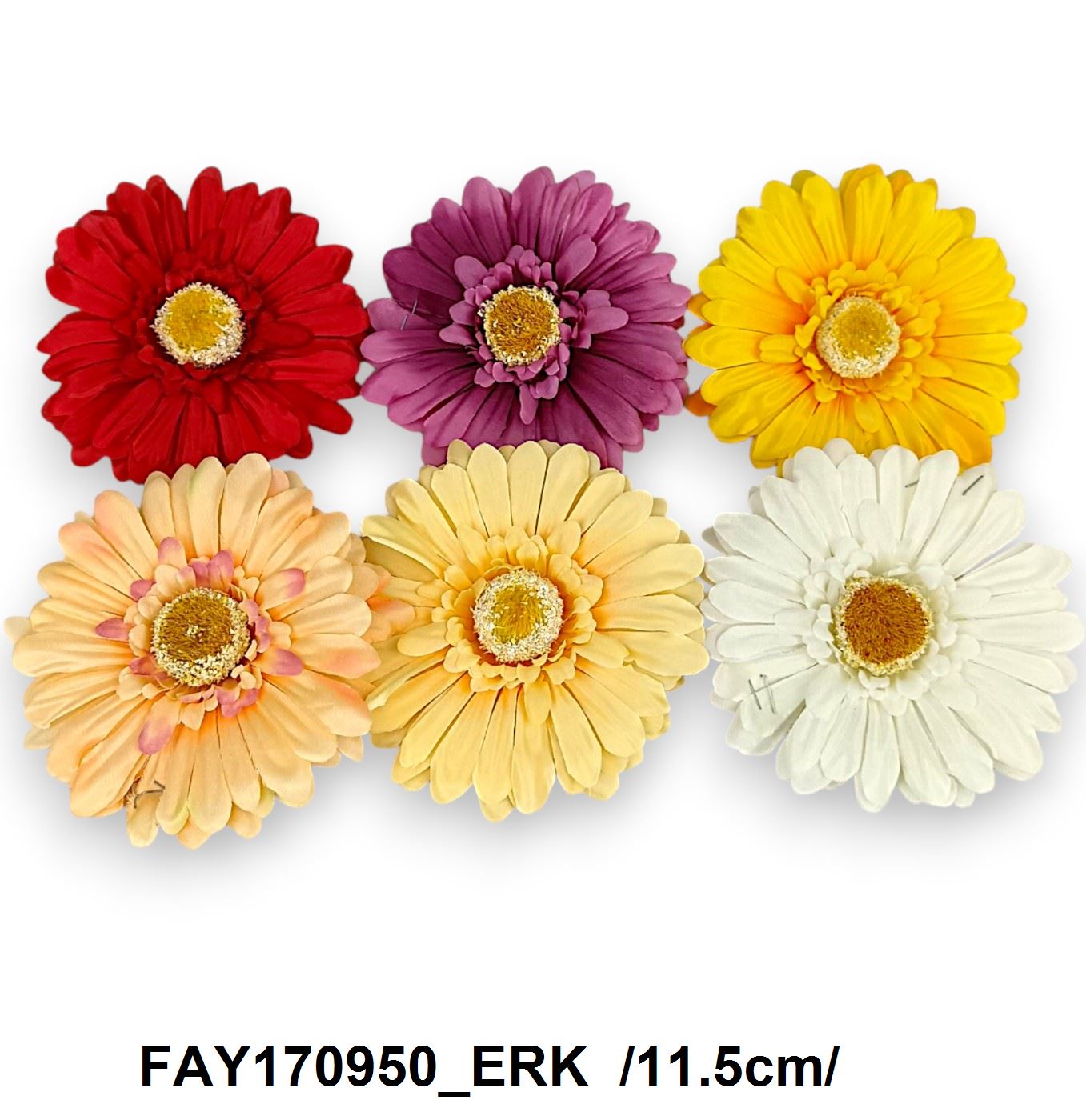 FAY170950_ERK