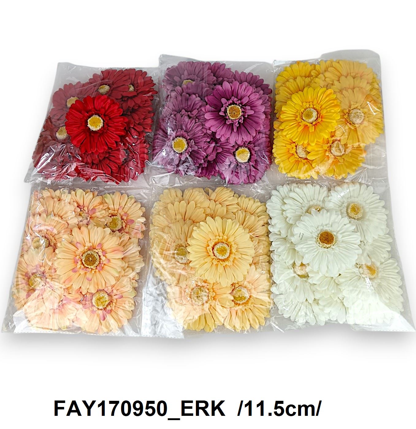 FAY170950_ERK