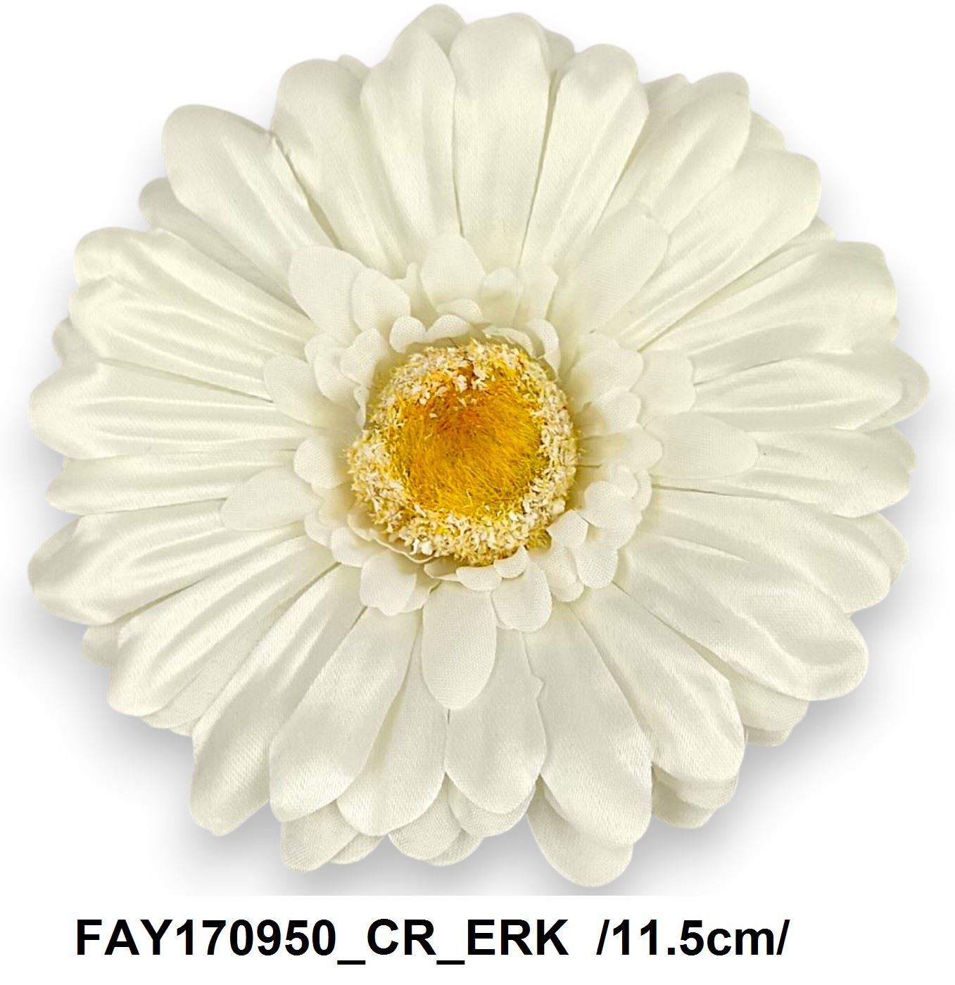 FAY170950_CR_ERK