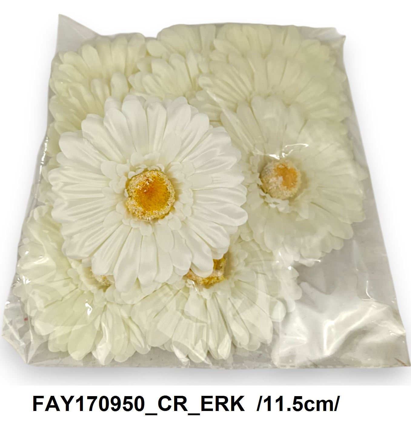 FAY170950_CR_ERK