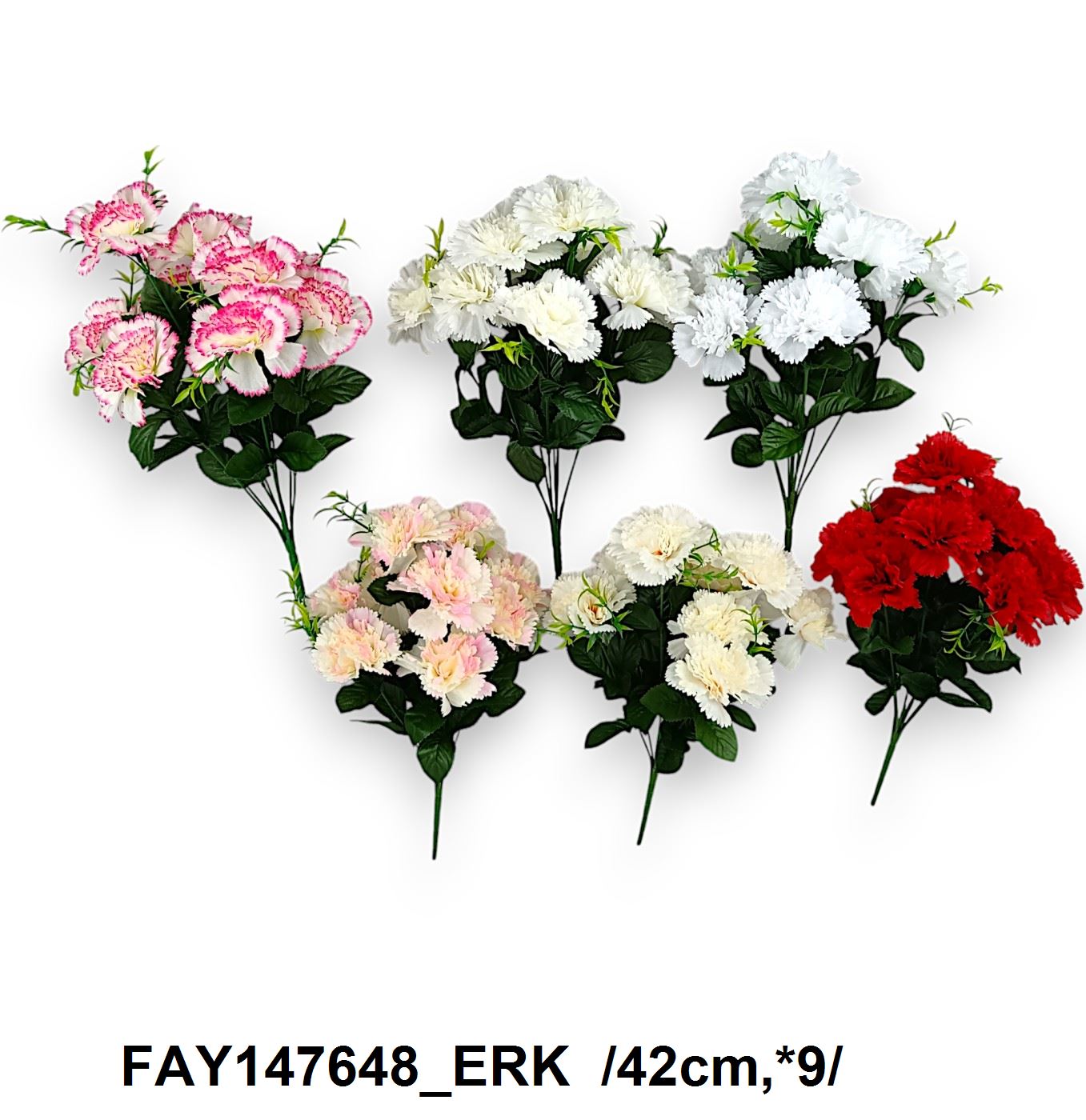 FAY147648_ERK