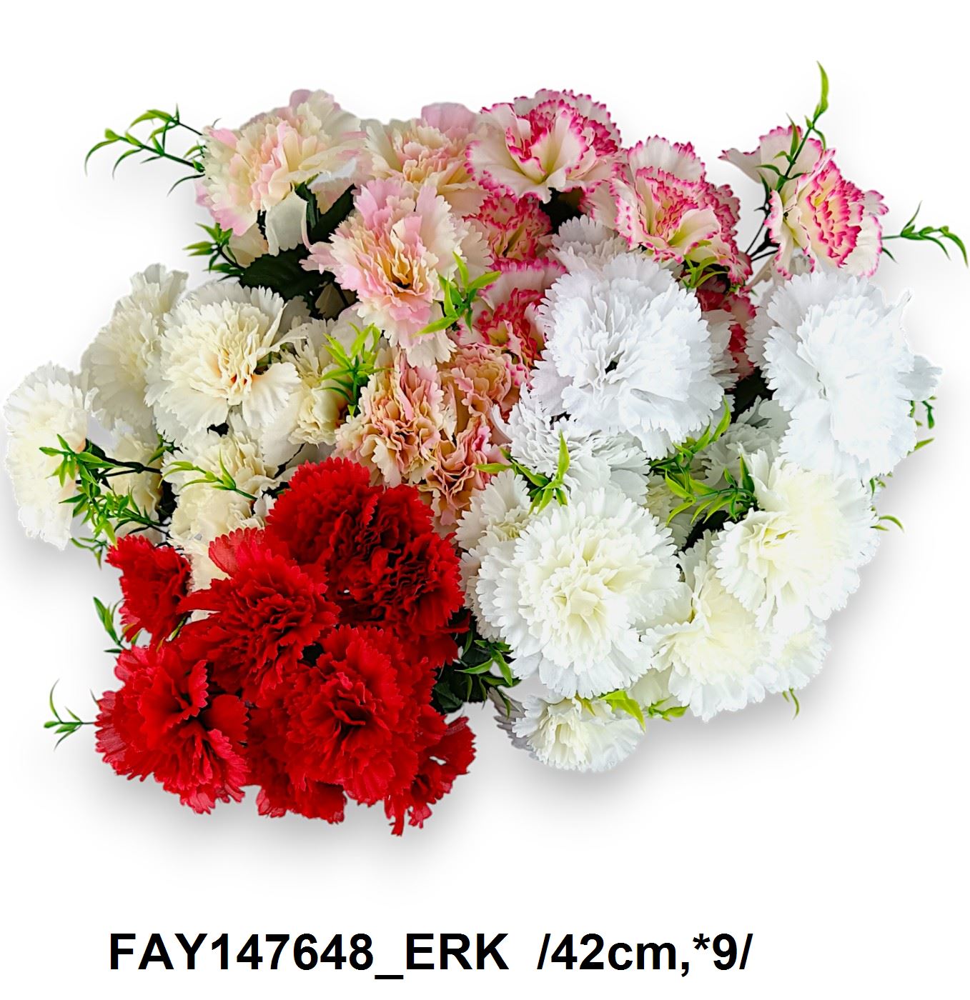 FAY147648_ERK