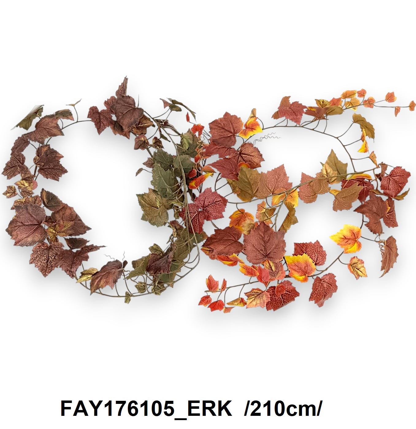 FAY176105_ERK