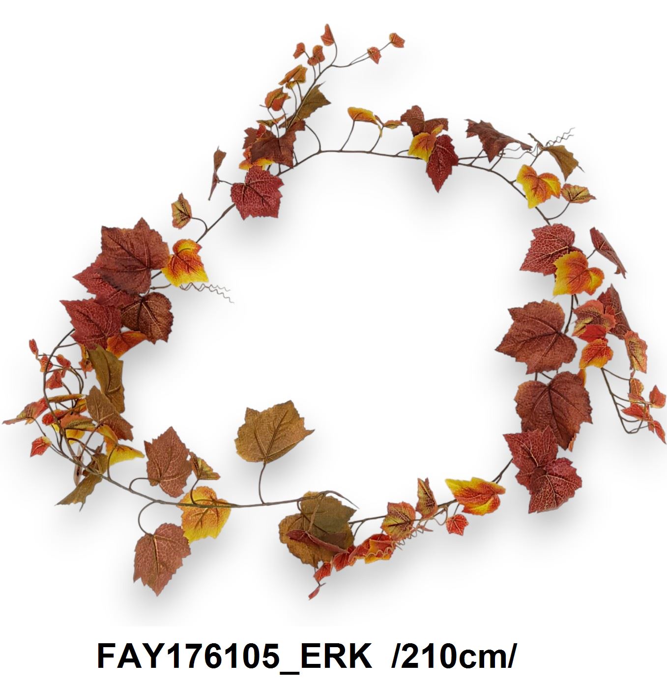 FAY176105_ERK