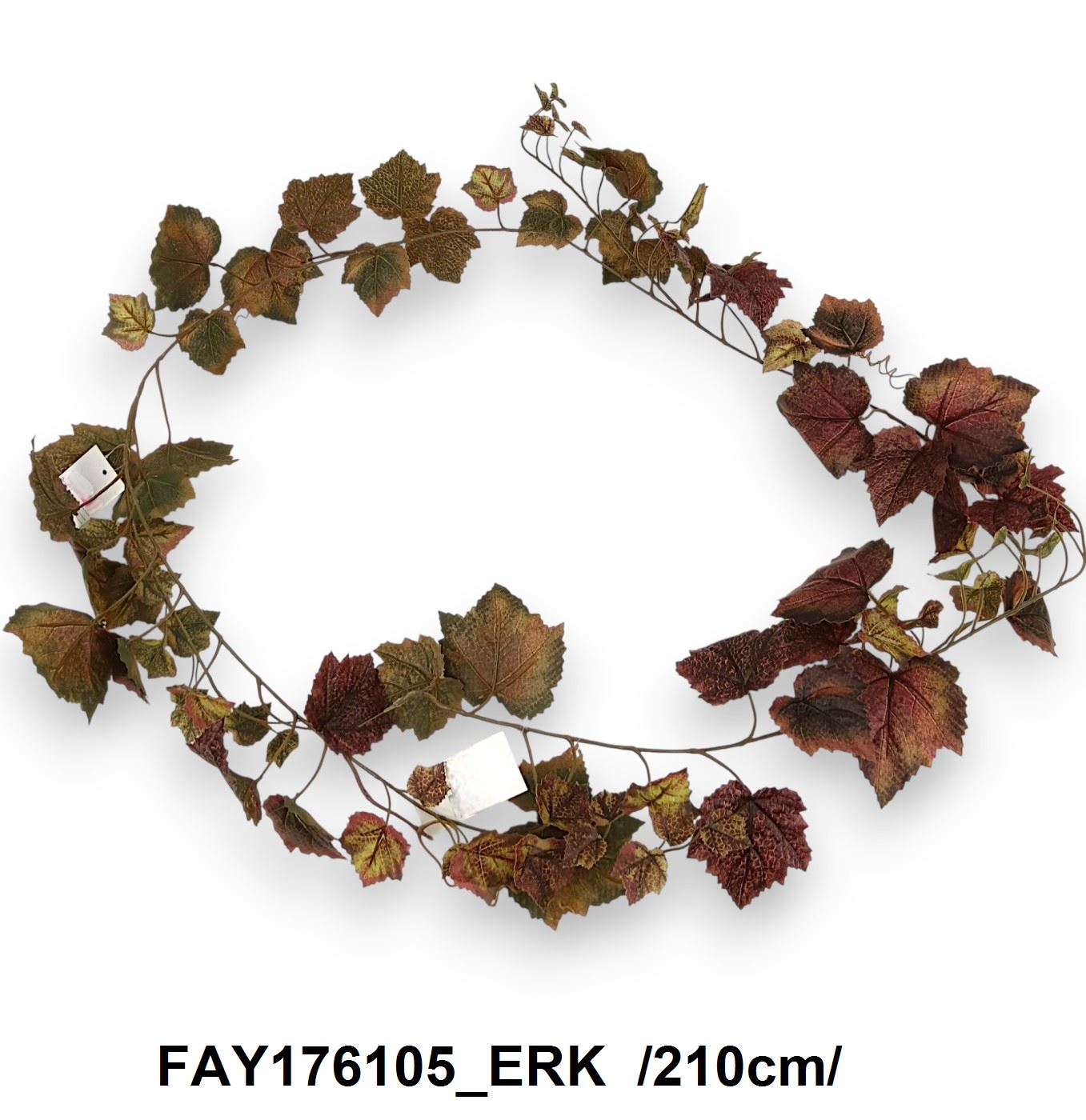 FAY176105_ERK