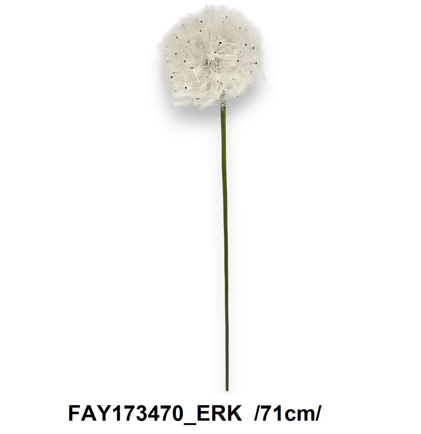 FAY173470_ERK