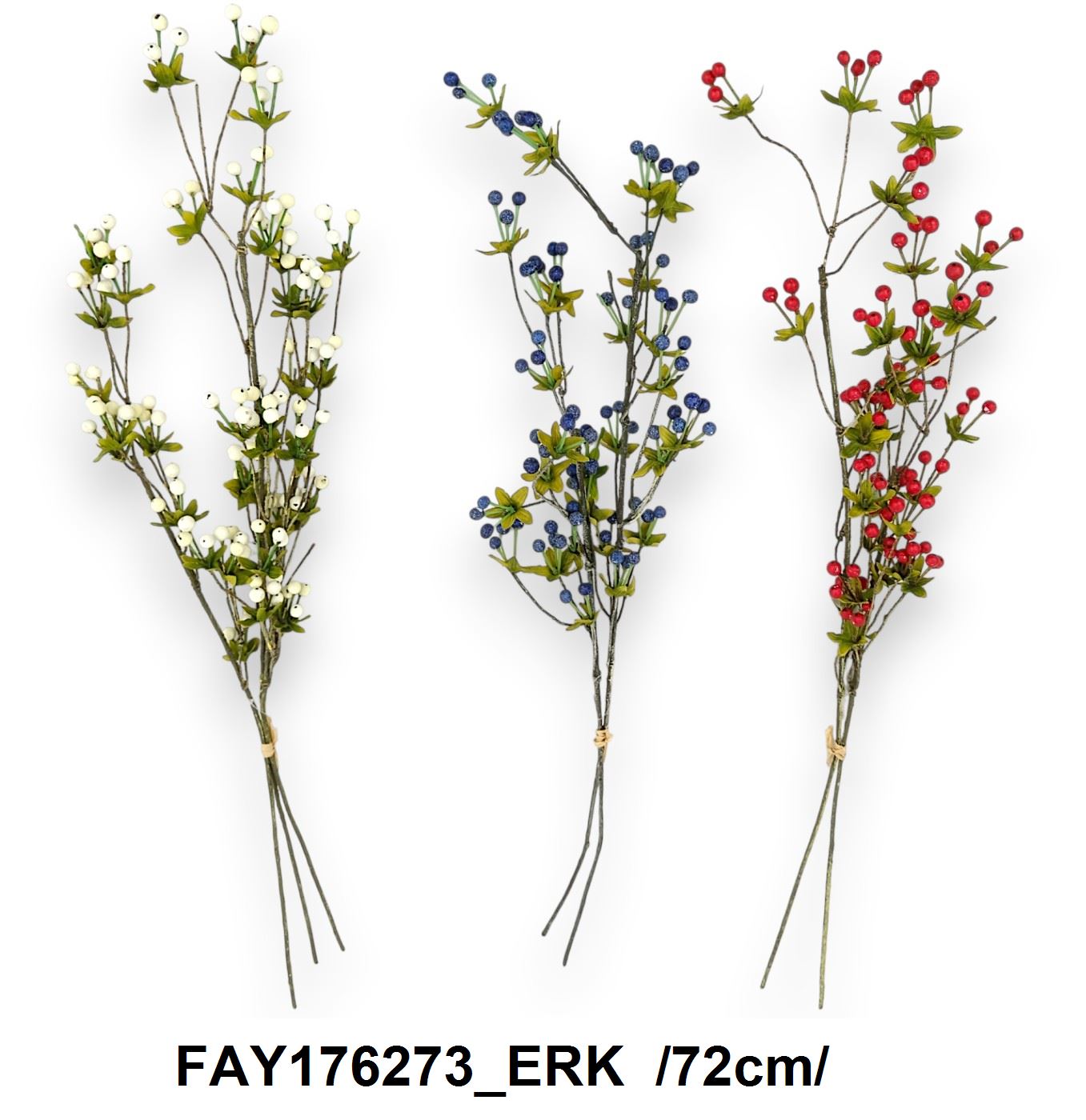 FAY176273_ERK
