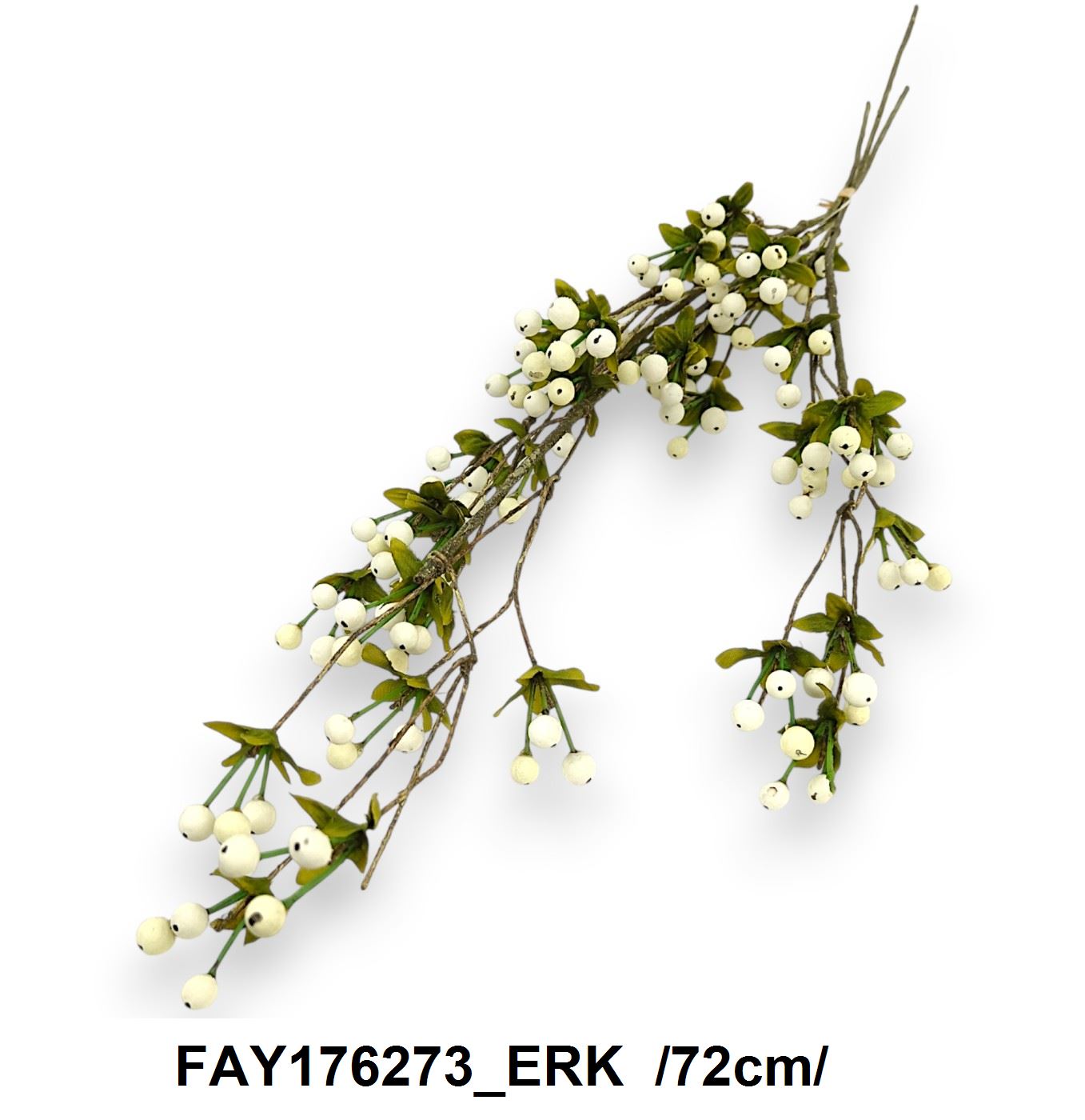 FAY176273_ERK