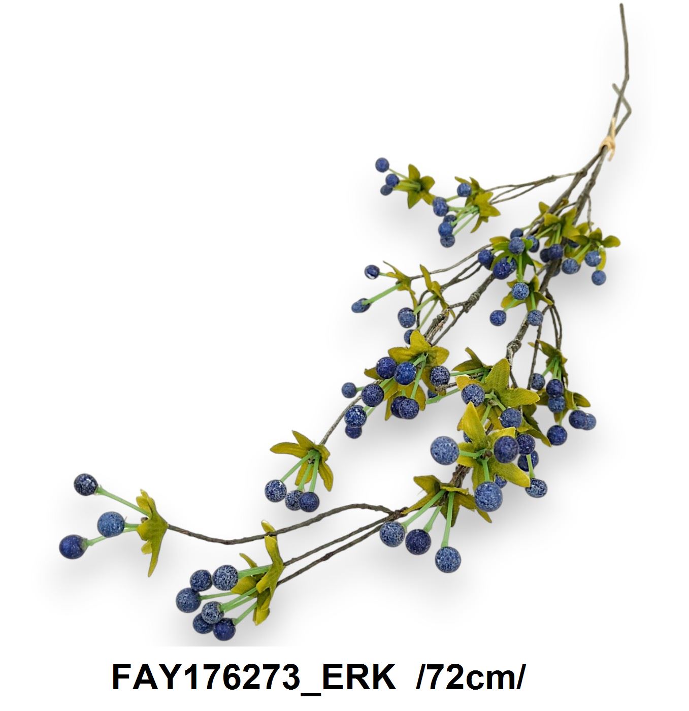 FAY176273_ERK