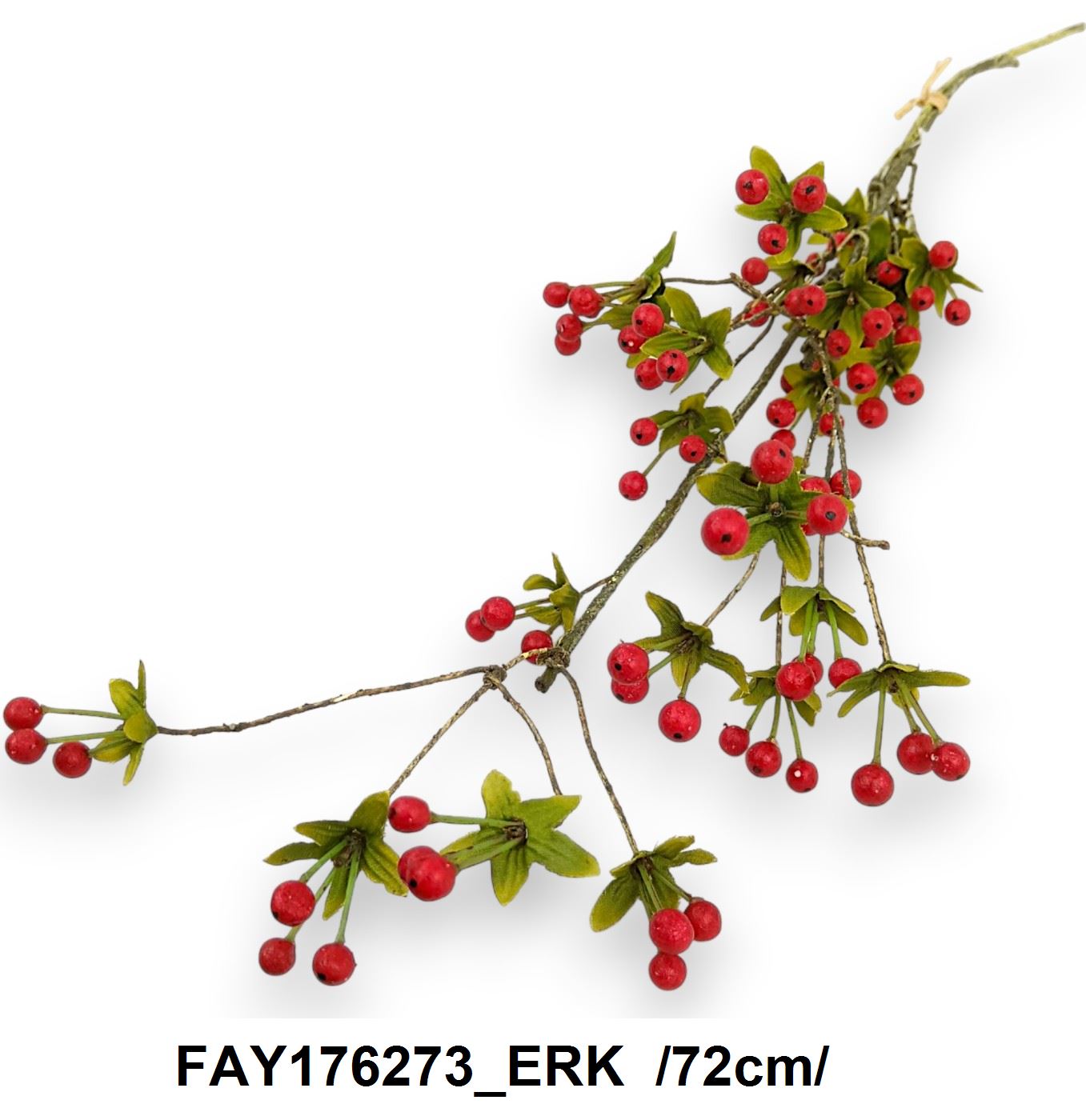 FAY176273_ERK