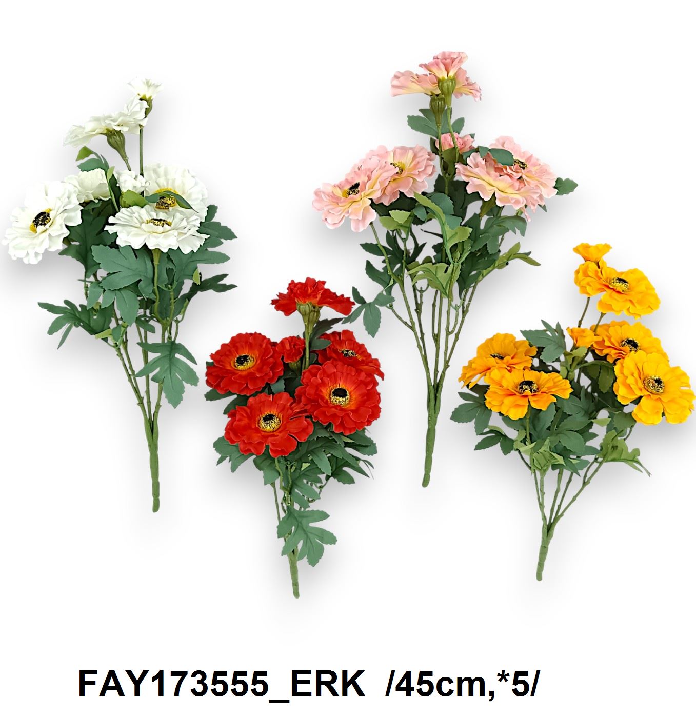 FAY173555_ERK