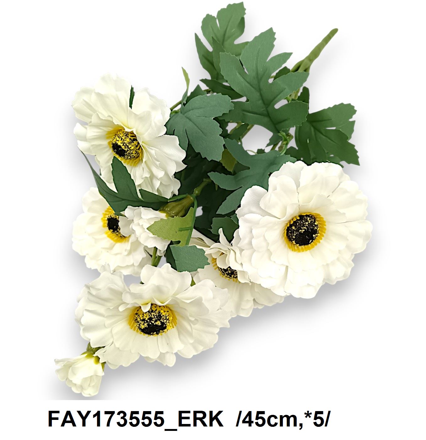 FAY173555_ERK