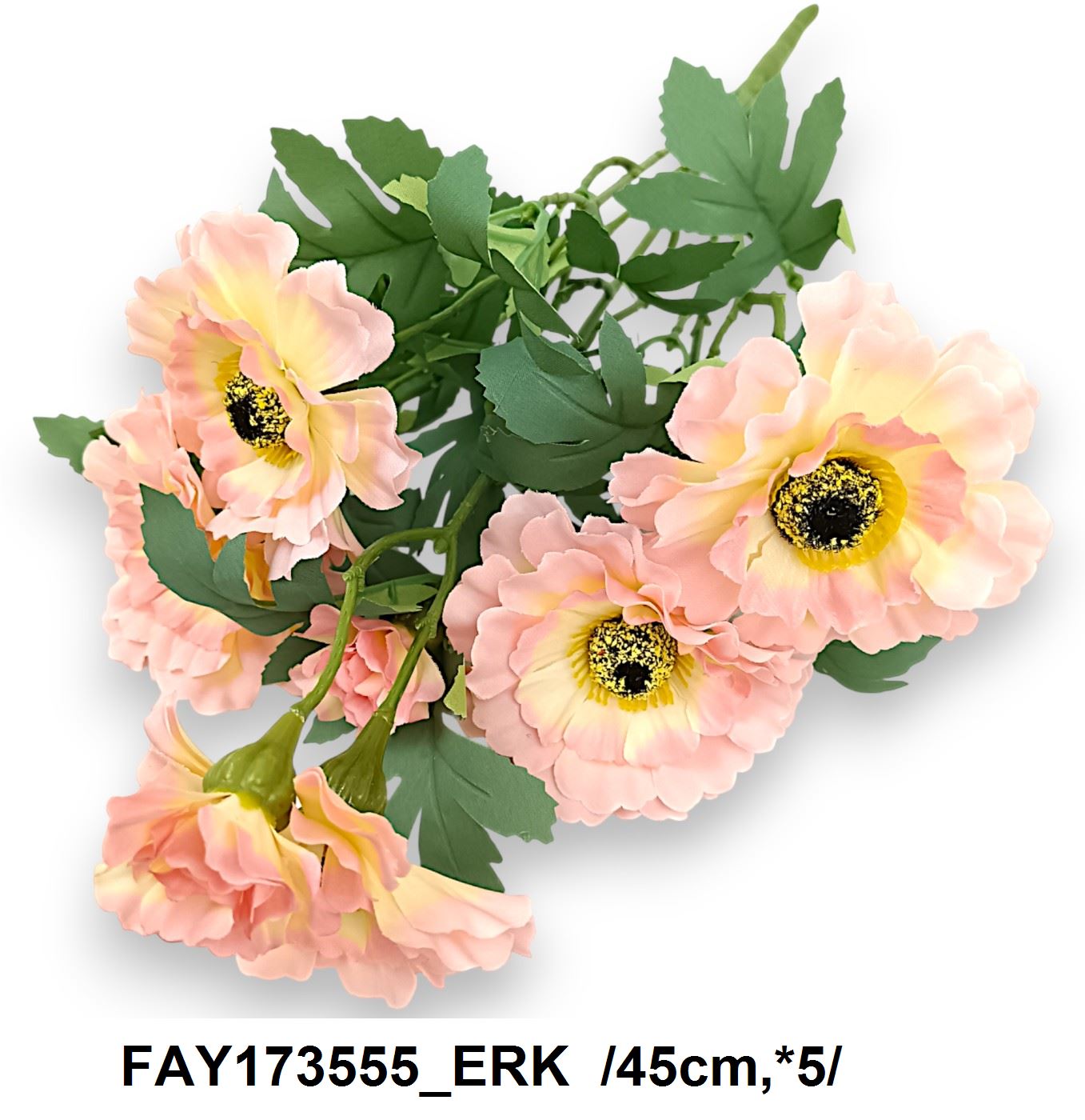 FAY173555_ERK