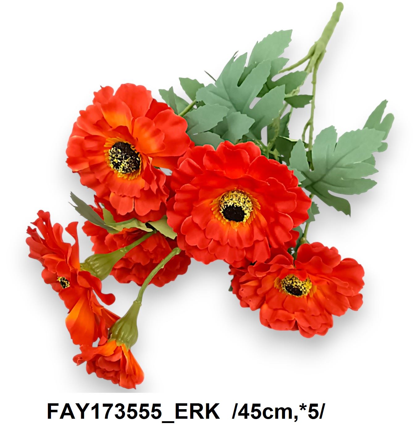 FAY173555_ERK