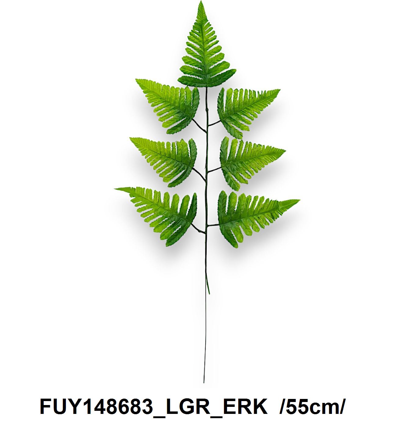 FUY148683_LGR_ERK