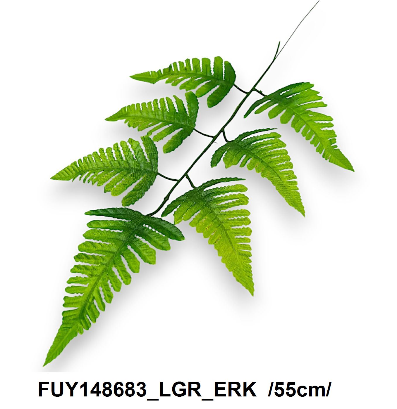 FUY148683_LGR_ERK