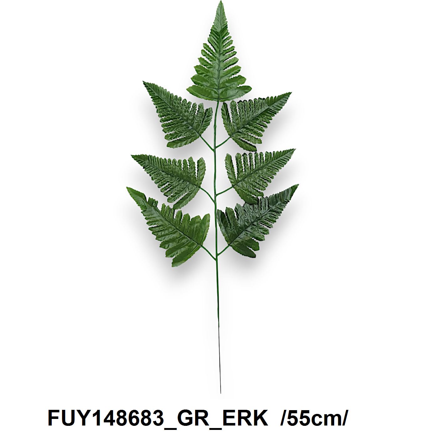 FUY148683_GR_ERK