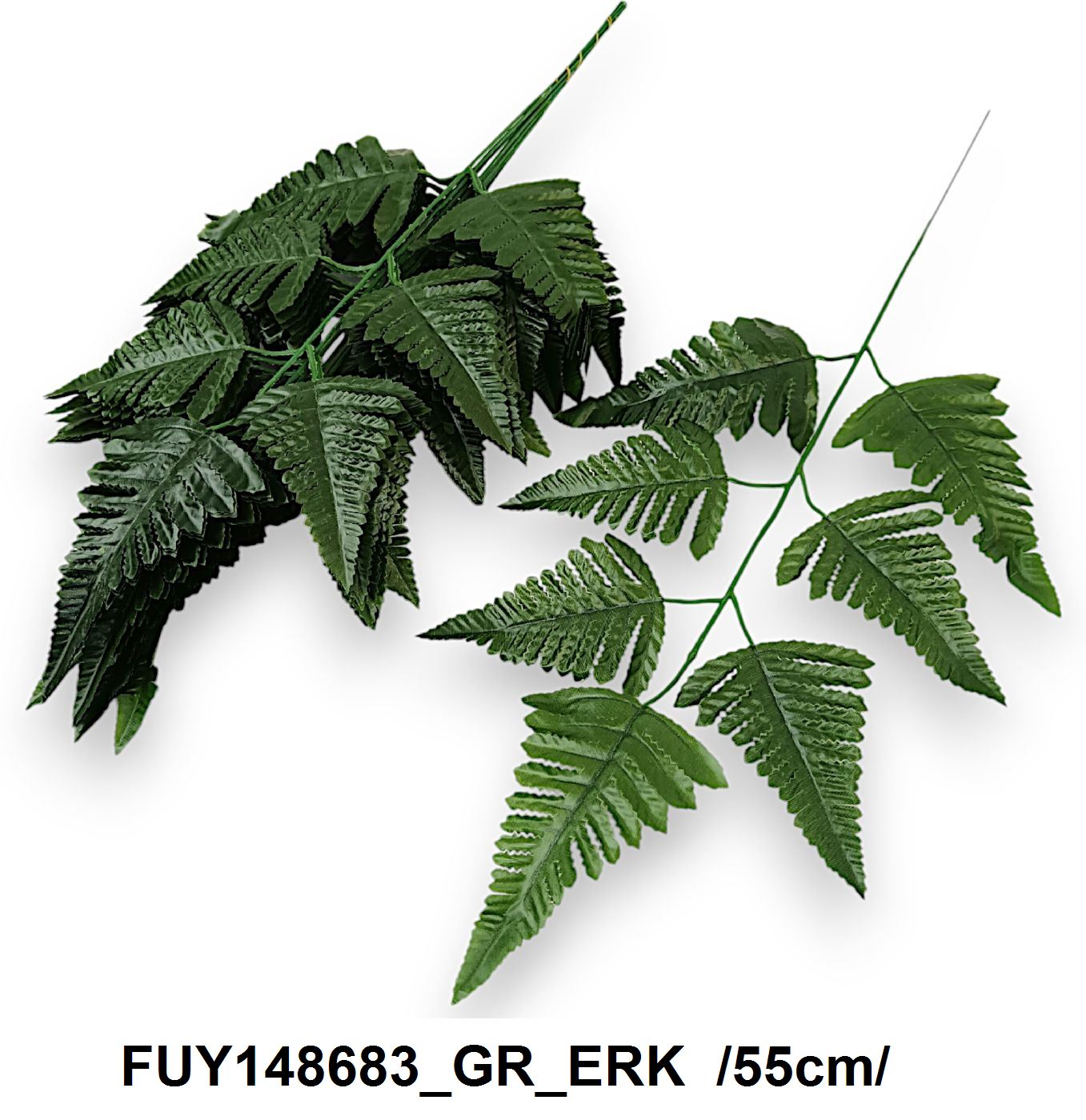 FUY148683_GR_ERK