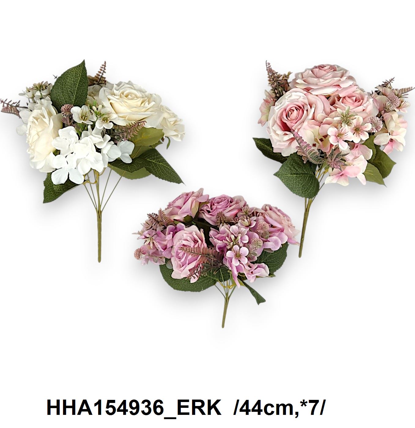 HHA154936_ERK